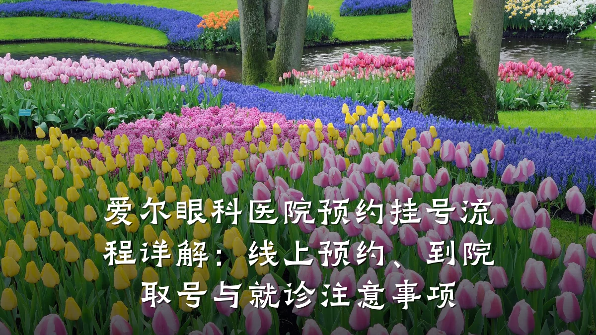 爱尔眼科医院预约挂号流程详解：线上预约、到院取号与就诊注意事项