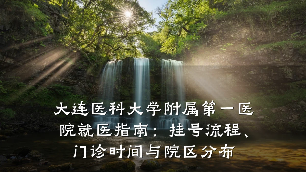 大连医科大学附属第一医院就医指南：挂号流程、门诊时间与院区分布