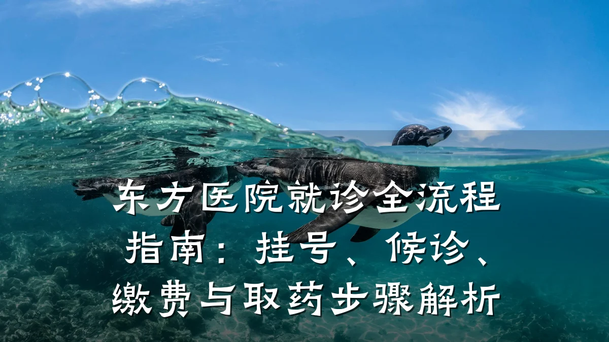 东方医院就诊全流程指南：挂号、候诊、缴费与取药步骤解析