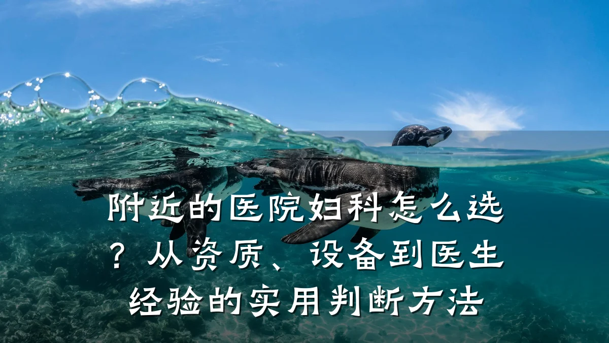 附近的医院妇科怎么选？从资质、设备到医生经验的实用判断方法