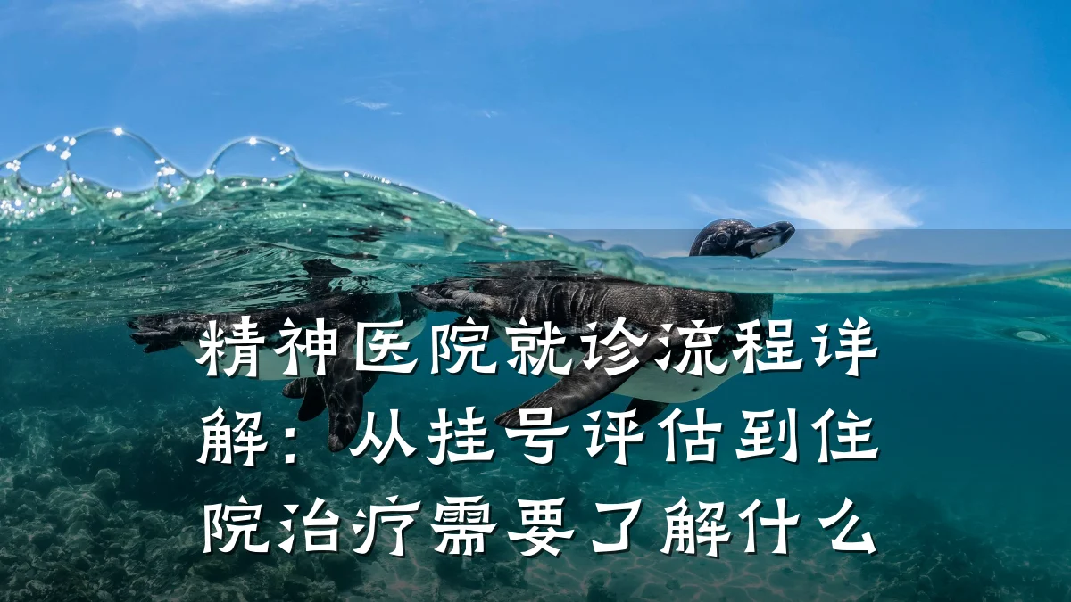 精神医院就诊流程详解：从挂号评估到住院治疗需要了解什么
