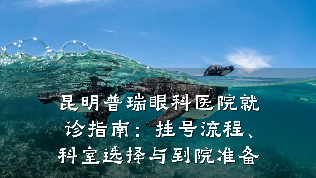 昆明普瑞眼科医院就诊指南：挂号流程、科室选择与到院准备