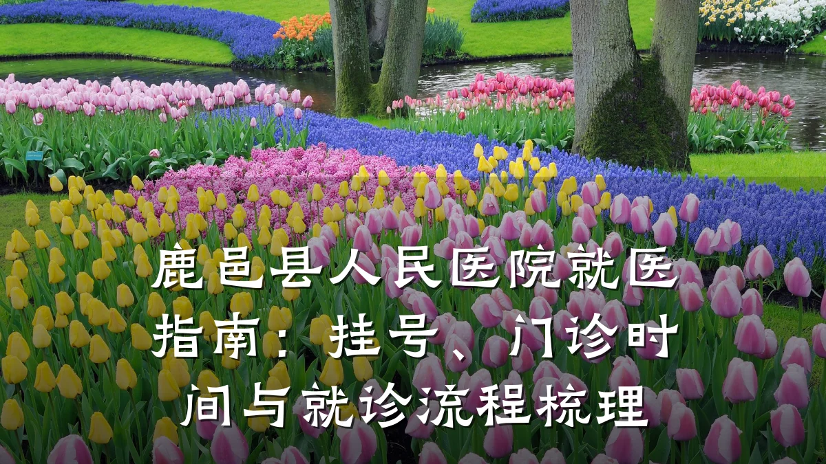 鹿邑县人民医院就医指南：挂号、门诊时间与就诊流程梳理