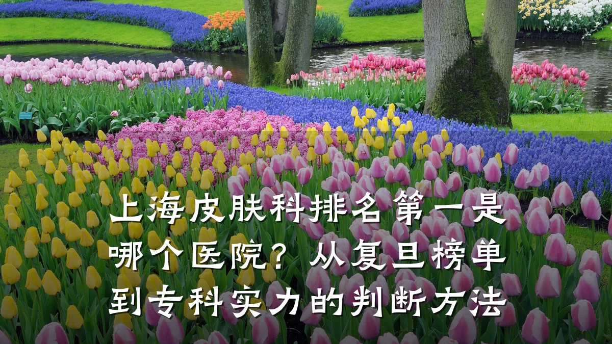 上海皮肤科排名第一是哪个医院？从复旦榜单到专科实力的判断方法