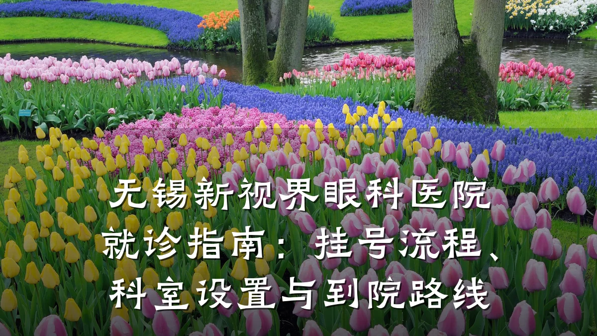无锡新视界眼科医院就诊指南：挂号流程、科室设置与到院路线
