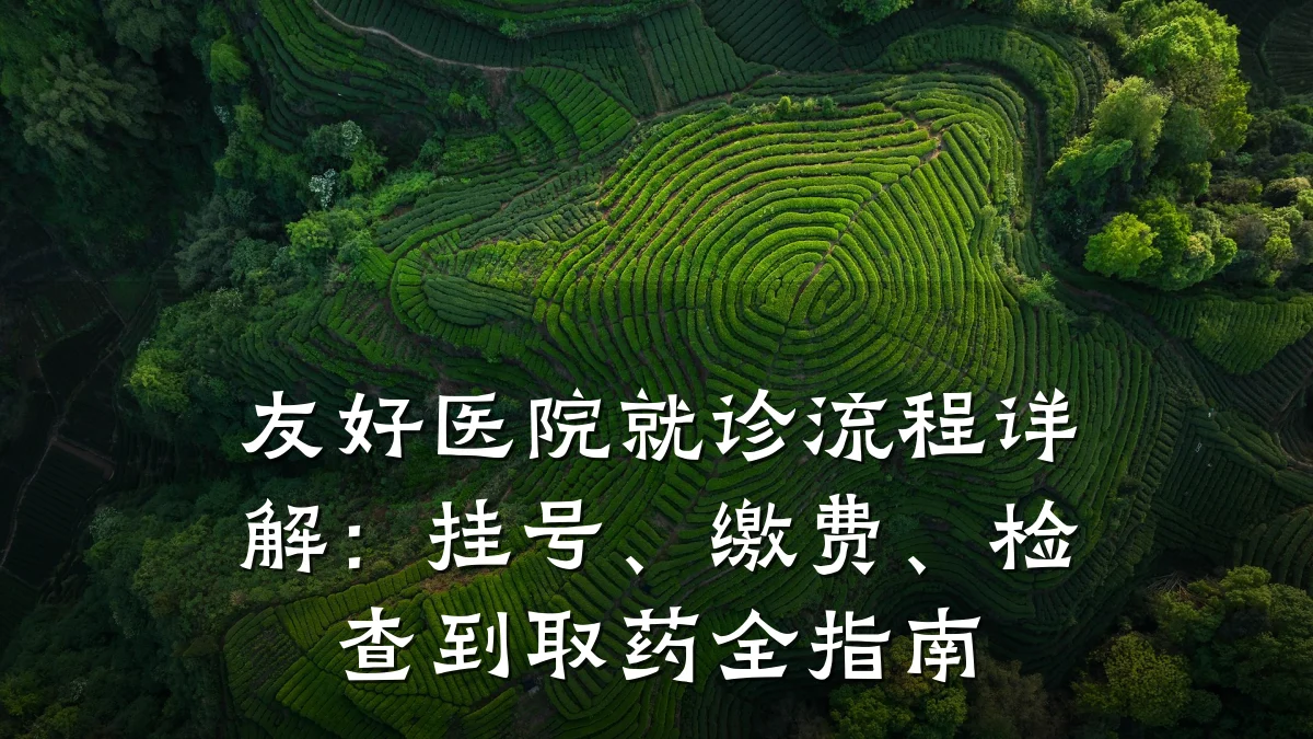 友好医院就诊流程详解：挂号、缴费、检查到取药全指南