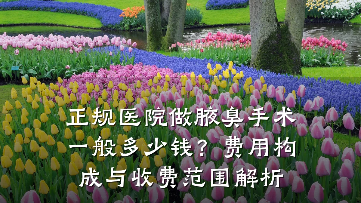 正规医院做腋臭手术一般多少钱？费用构成与收费范围解析