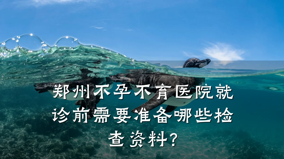 郑州不孕不育医院就诊前需要准备哪些检查资料？