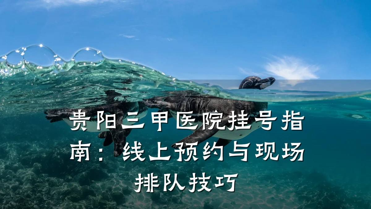 贵阳三甲医院挂号指南：线上预约与现场排队技巧
