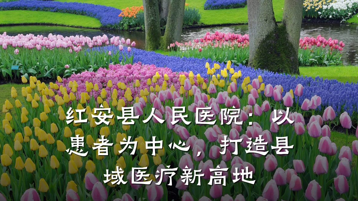 红安县人民医院：以患者为中心，打造县域医疗新高地