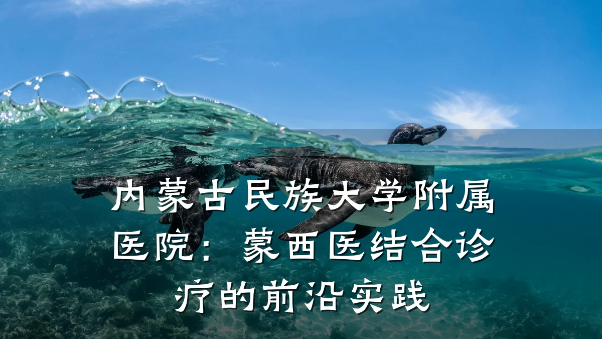 内蒙古民族大学附属医院：蒙西医结合诊疗的前沿实践