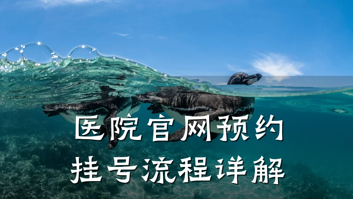 医院官网预约挂号流程详解