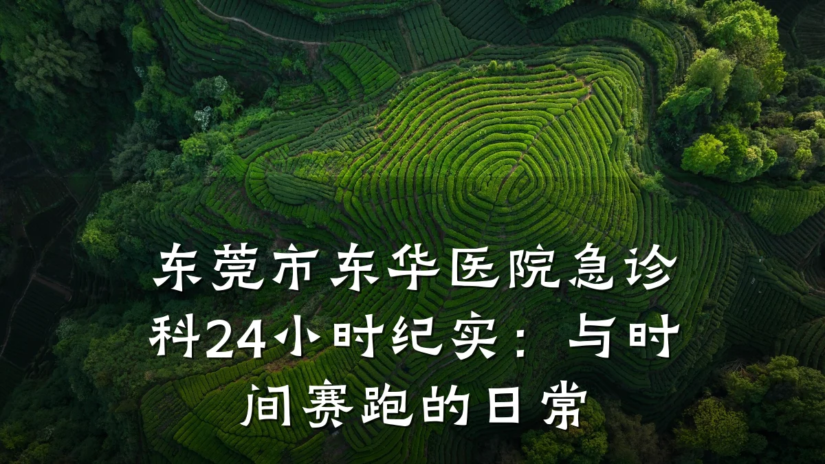 东莞市东华医院急诊科24小时纪实：与时间赛跑的日常