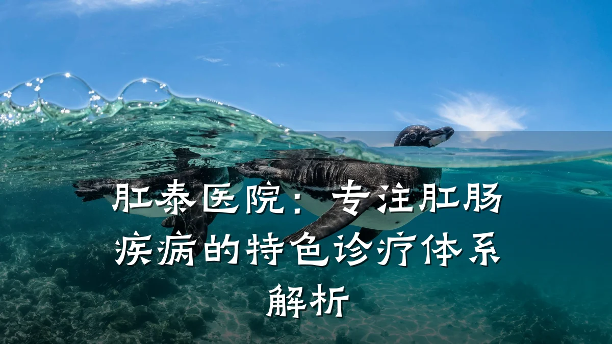 肛泰医院：专注肛肠疾病的特色诊疗体系解析