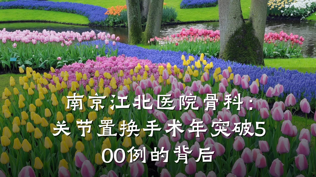 南京江北医院骨科：关节置换手术年突破500例的背后