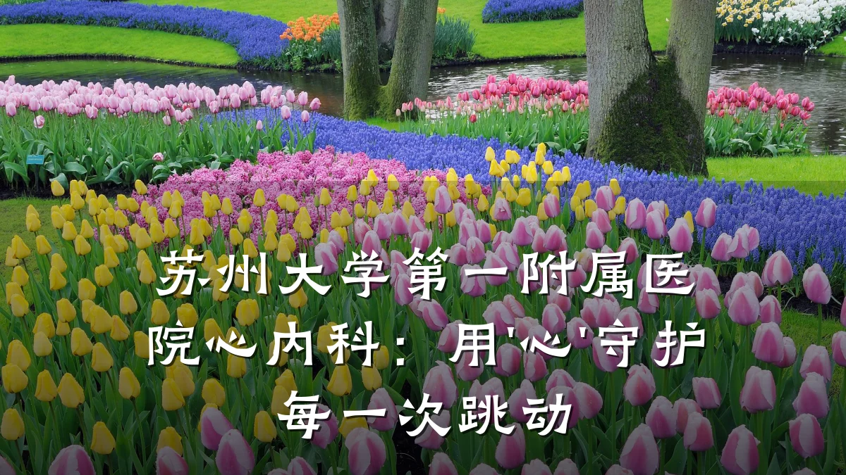 苏州大学第一附属医院心内科：用'心'守护每一次跳动