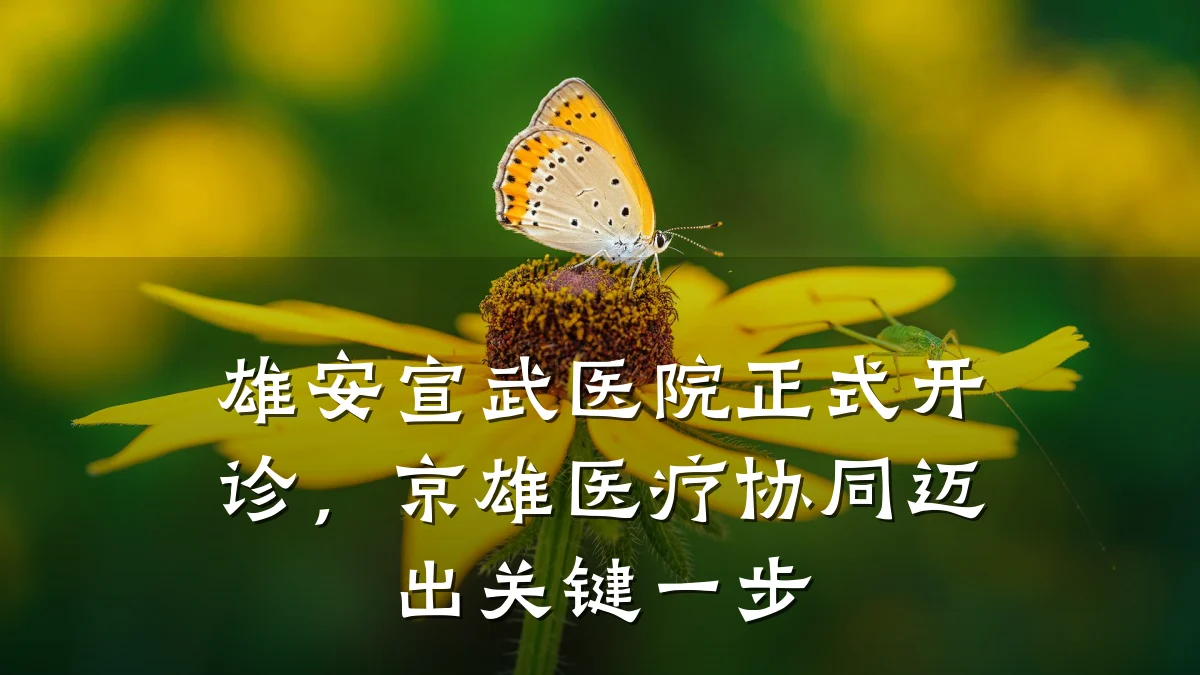 雄安宣武医院正式开诊，京雄医疗协同迈出关键一步