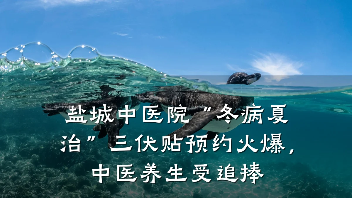 盐城中医院“冬病夏治”三伏贴预约火爆，中医养生受追捧