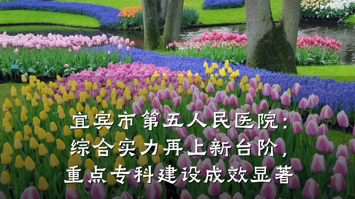 宜宾市第五人民医院：综合实力再上新台阶，重点专科建设成效显著