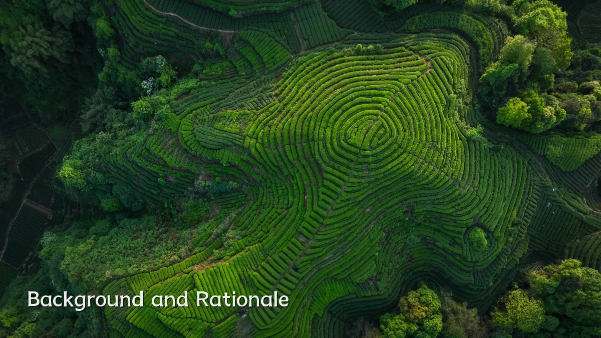 Background and Rationale