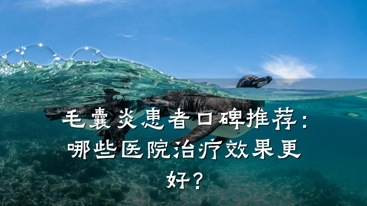 毛囊炎患者口碑推荐:哪些医院治疗效果更好?