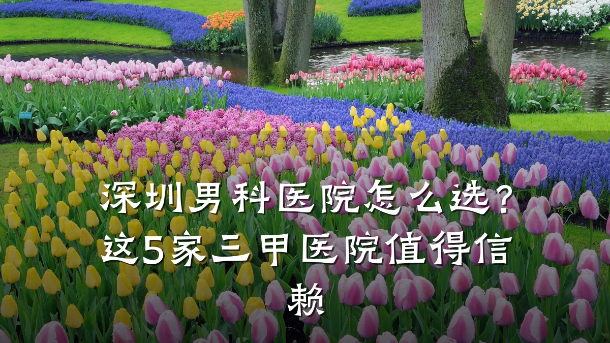深圳男科医院怎么选?这5家三甲医院值得信赖