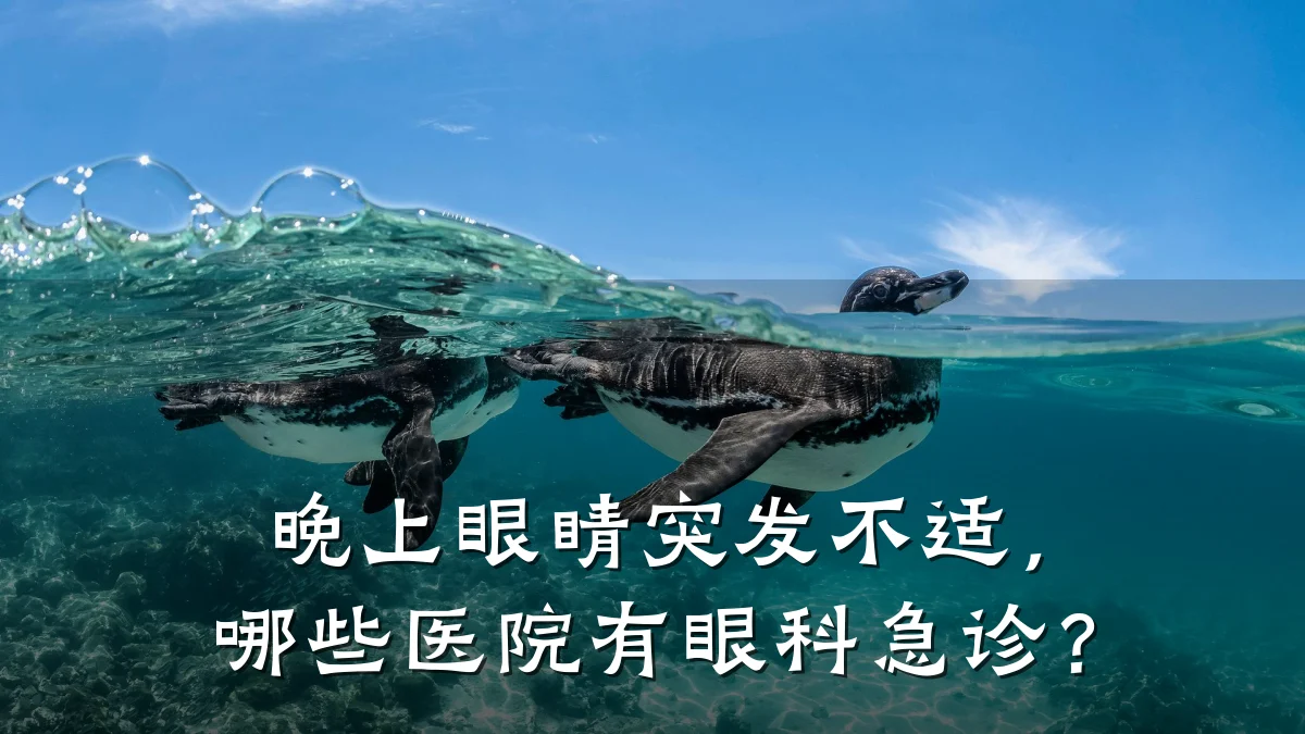 晚上眼睛突发不适,哪些医院有眼科急诊?