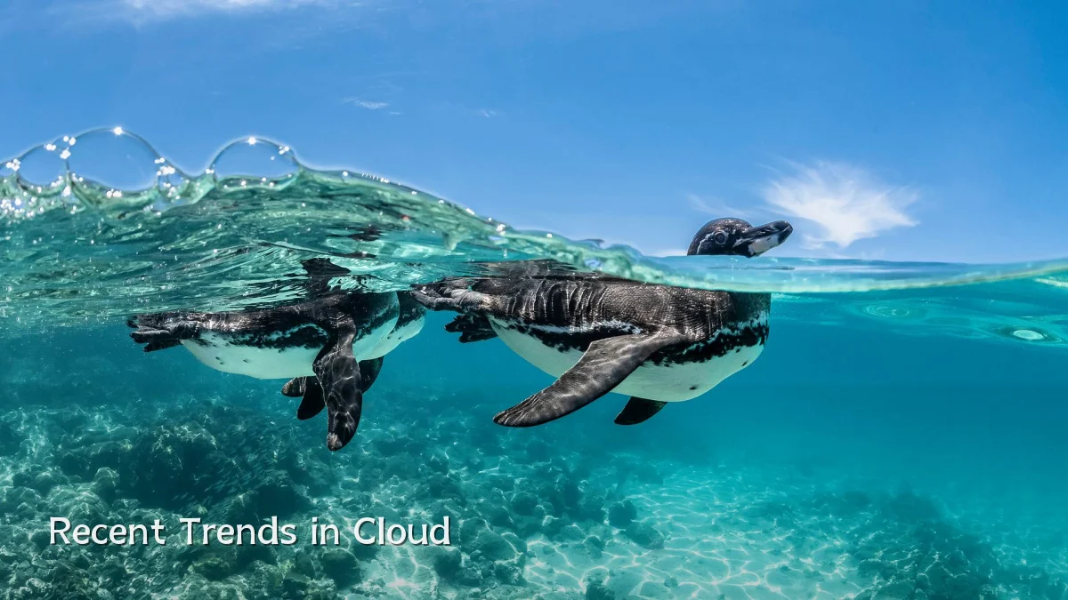 Recent Trends in Cloud