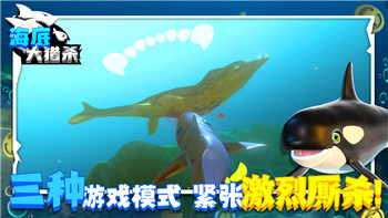 不朽之旅普攻伤害怎么算？深入解析普攻计算公式与提升策略