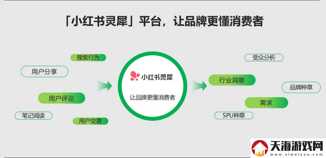 小红书灵犀全量开放中