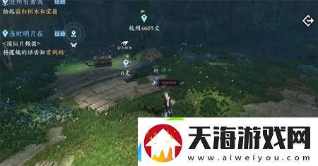 逆水寒手游沧州有青鸾怎么过