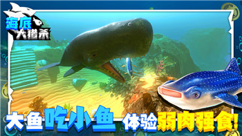 怒之铁拳4布雷兹连招教程