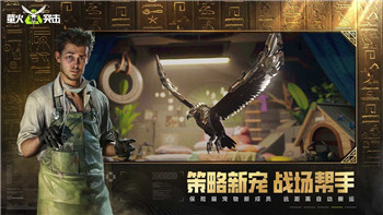 王国风云3常用秘籍怎么用不了