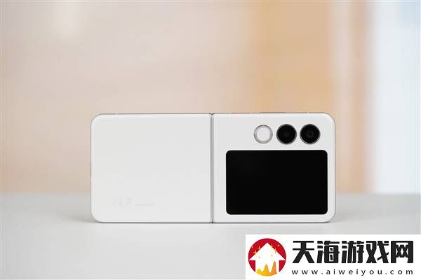 努比亚Flip