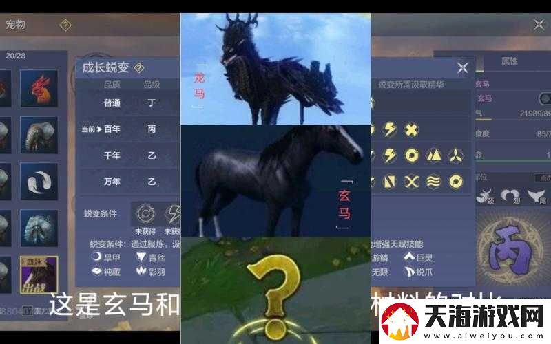 妄想山海玄马究竟值不值得培养？全面解析玄马属性及强度！