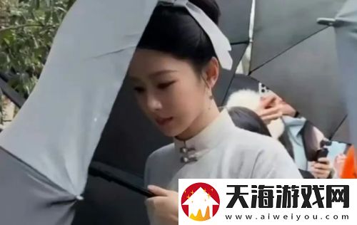 杨紫新剧家业未播先火