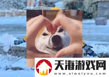 南方沙糖桔是什么梗络用语