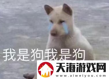 cwm小国际是什么梗络用语