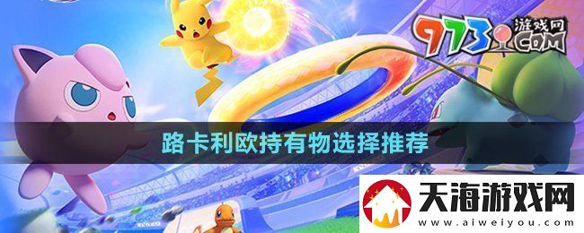 宝可梦大集结路卡利欧持有物选什么