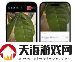 掌握苹果广角拍摄技巧