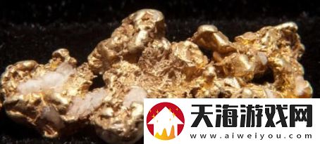 含金量还在上升是什么梗络用语