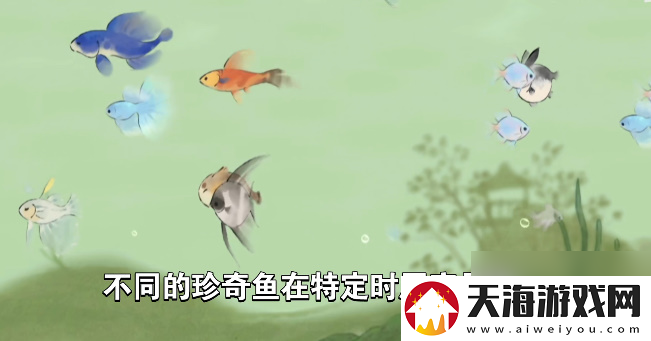 桃源深处有人家钓鱼最合适时机钓鱼时间